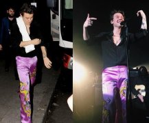 <b>一世代哈利穿霓虹、黄裤上街　网笑：跳</b>