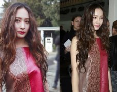 米兰周 郑秀晶穿蟒蛇纹逼出仙气　男网友